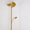 CAZIS Floor Lamp LED brass, 1-light source