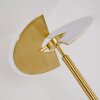CAZIS Floor Lamp LED brass, 1-light source