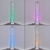 Wanas Floor Lamp LED titanium, 1-light source, Colour changer