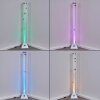Wanas Floor Lamp LED titanium, 1-light source, Colour changer