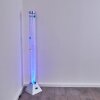 Wanas Floor Lamp LED titanium, 1-light source, Colour changer