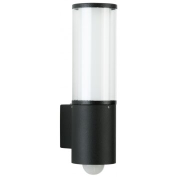Albert 320 outdoor wall light black, 1-light source, Motion sensor