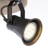 Round Spotlight Brilliant Seed Dark wood, black, 3-light sources