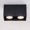 Awuna Ceiling Light black, 2-light sources