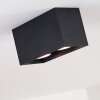 Awuna Ceiling Light black, 2-light sources