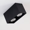Awuna Ceiling Light black, 2-light sources