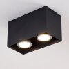 Awuna Ceiling Light black, 2-light sources