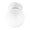 Eglo DURELO ceiling light white, 1-light source