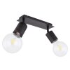 Globo HERMINE Spotlight black, 2-light sources