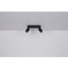 Globo HERMINE Spotlight black, 2-light sources