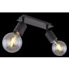 Globo HERMINE Spotlight black, 2-light sources