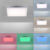Paul Neuhaus Q-FLAG Ceiling light LED white, 1-light source, Remote control, Colour changer