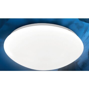 Globo KIRSTEN ceiling light LED white, 24-light sources