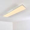 Antria Ceiling Light LED white, 1-light source, Remote control, Colour changer