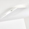 Antria Ceiling Light LED white, 1-light source, Remote control, Colour changer