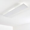 Antria Ceiling Light LED white, 1-light source, Remote control, Colour changer