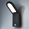 LEDVANCE ENDURA Outdoor Wall Light black, 1-light source, Motion sensor