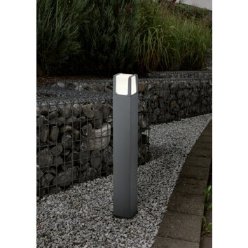 Trio EBRO Floor Lamp LED anthracite, 1-light source