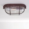 Catawba Ceiling Light rust-coloured, 1-light source