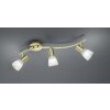 Trio LEVISTO ceiling spotlight LED brass, 3-light sources