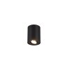 Ceiling Light Trio Leuchten COOKIE black, 1-light source