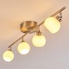 Motala Ceiling Light LED matt nickel, 4-light sources, Remote control, Colour changer