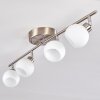 Motala Ceiling Light LED matt nickel, 4-light sources, Remote control, Colour changer