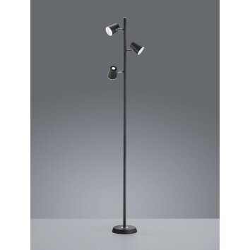 Trio NARCOS Floor Lamp LED black, 3-light sources