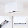 Awuna Ceiling Light white, 2-light sources