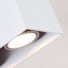 Awuna Ceiling Light white, 2-light sources