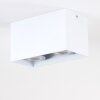 Awuna Ceiling Light white, 2-light sources