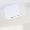 Awuna Ceiling Light white, 2-light sources