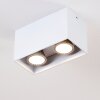 Awuna Ceiling Light white, 2-light sources