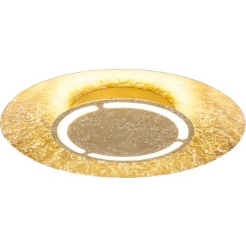 Globo Tabea Ceiling Light LED gold, 1-light source
