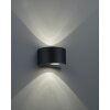 Reality ROSARIO Outdoor Wall Light LED black, 2-light sources