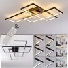 GHANA Ceiling Light LED black, 1-light source, Remote control