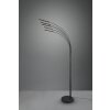Reality REED Floor Lamp LED black, 5-light sources