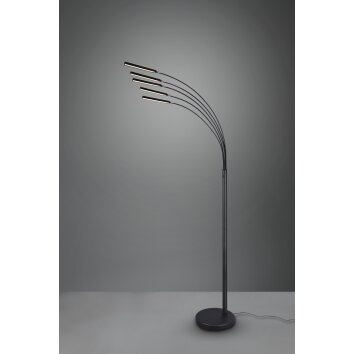 Reality REED Floor Lamp LED black, 5-light sources