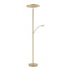Paul Neuhaus MARTIN Floor Lamp LED brass, 1-light source