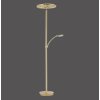 Paul Neuhaus MARTIN Floor Lamp LED brass, 1-light source