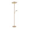 Paul Neuhaus MARTIN Floor Lamp LED brass, 1-light source