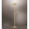 Paul Neuhaus MARTIN Floor Lamp LED brass, 1-light source