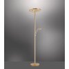 Paul Neuhaus MARTIN Floor Lamp LED brass, 1-light source