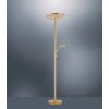 Paul Neuhaus MARTIN Floor Lamp LED brass, 1-light source