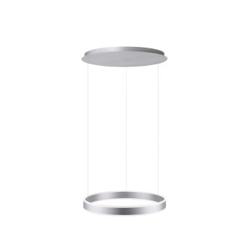 Paul Neuhaus ARINA Pendant Light LED stainless steel, 2-light sources, Motion sensor