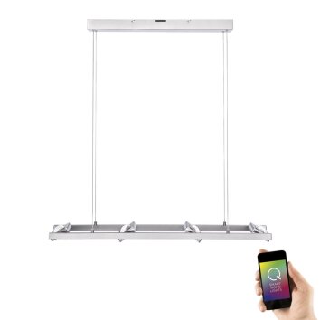 Paul Neuhaus Q-Fisheye Pendant Light LED stainless steel, 8-light sources, Remote control, Colour changer