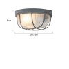 Steinhauer MEXLITE Ceiling Light grey, 1-light source