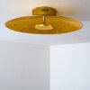 Nipissing ceiling light LED gold, 1-light source