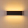 Obion Wall Light LED anthracite, 2-light sources