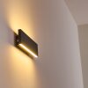Obion Wall Light LED anthracite, 2-light sources